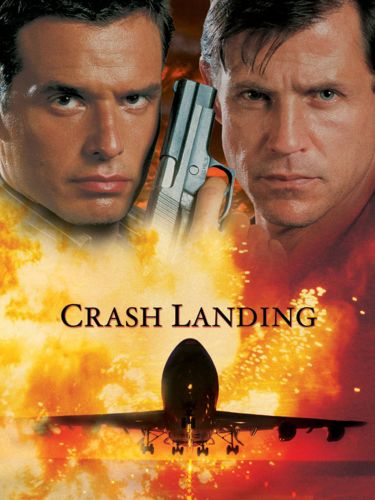 crash-landing-2005-jay-andrews-jim-wynorski-synopsis